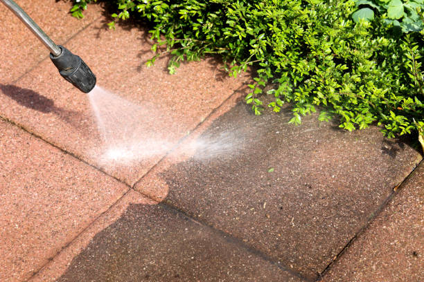 Best Residential Pressure Washing in White Cloud, MI